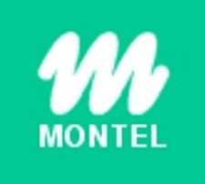 montel_informatika_logo